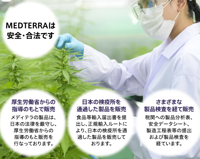 MEDTERRA(メディテラ):高い合法性と確かな安全性・寄り添うCBD